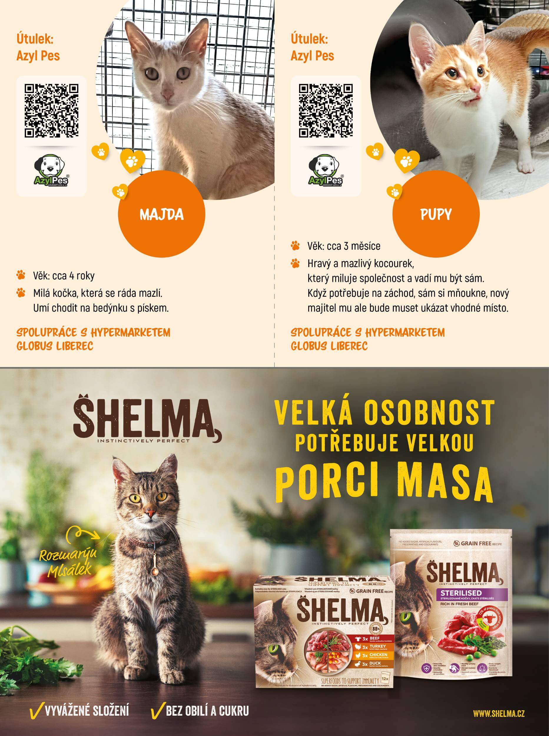 Akční leták 37_26_K5_PET_DOBRO