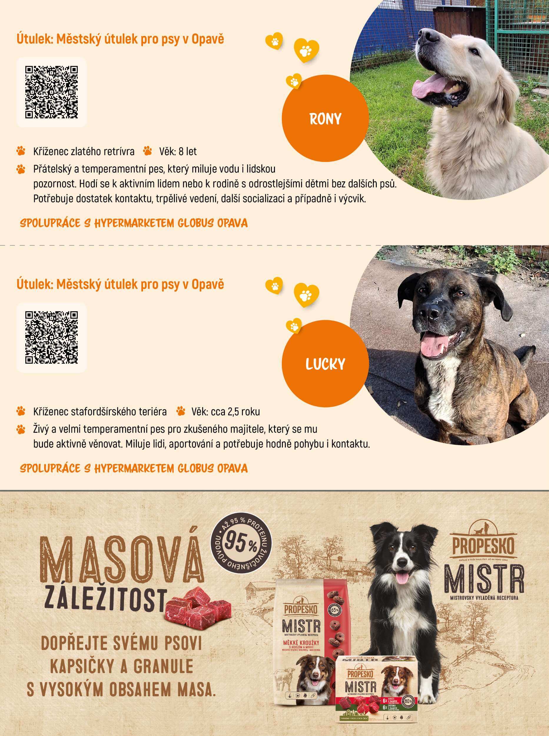 Akční leták 37_26_K5_VERZE2_PET_DOBRO